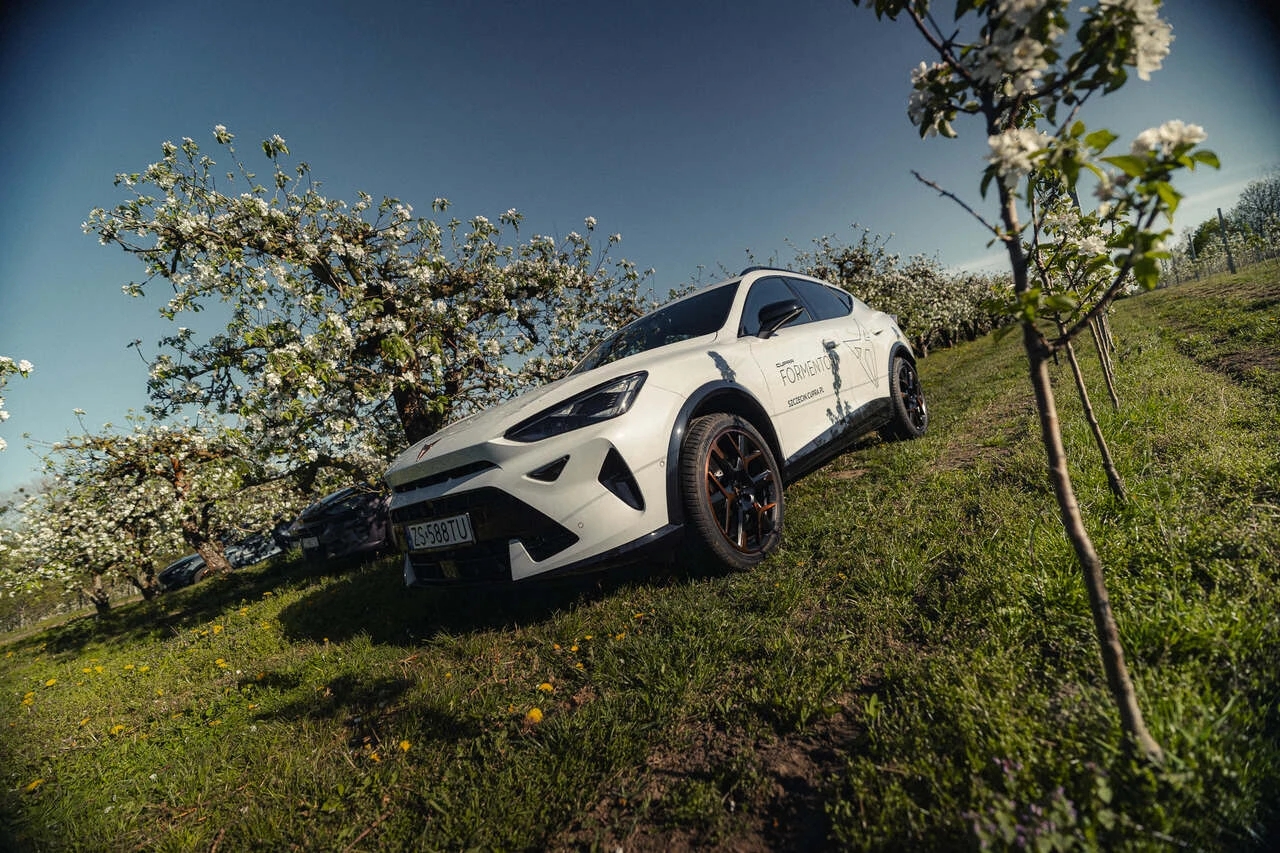 Biała CUPRA Formentor podczas wiosennej sesji w Sadach