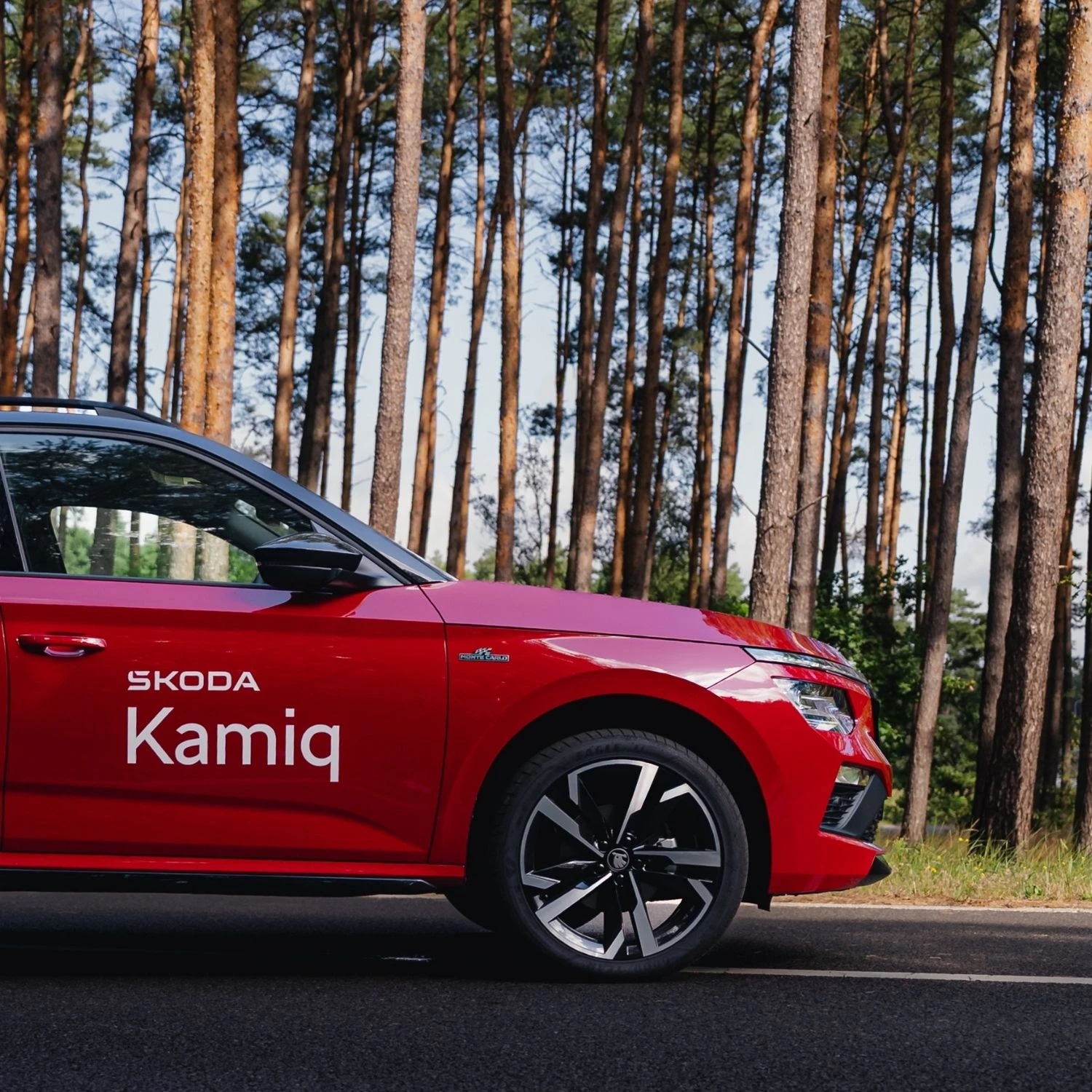 Skoda Kamiq