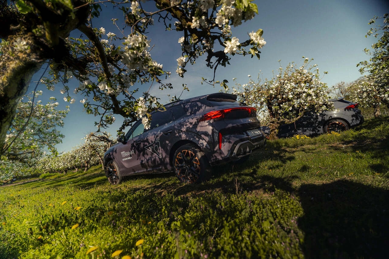 Nowa CUPRA Terramar podczas wiosennej sesji w Sadach