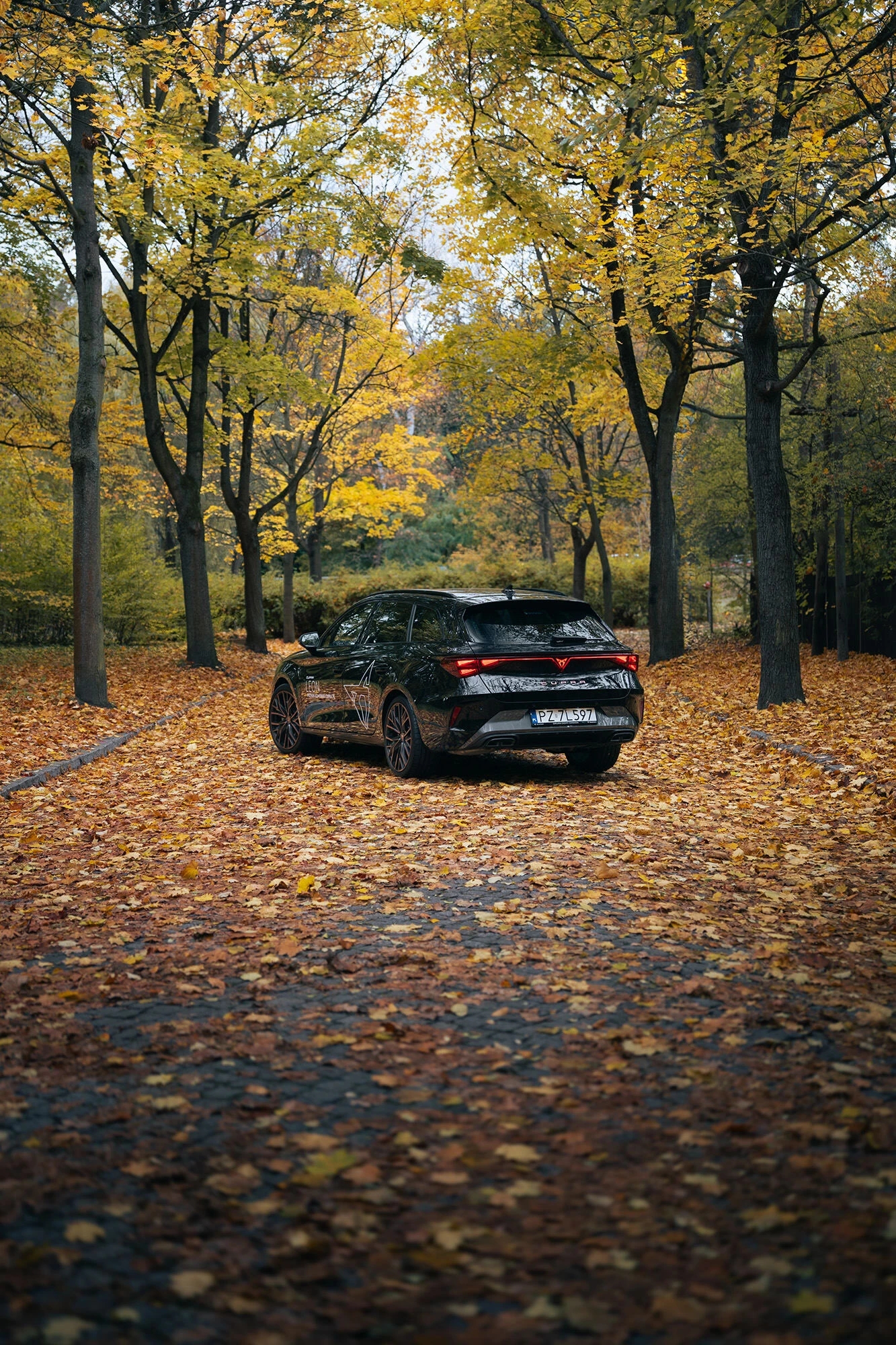 CUPRA Leon Sportstourer w jesiennym parku w centrum Poznania