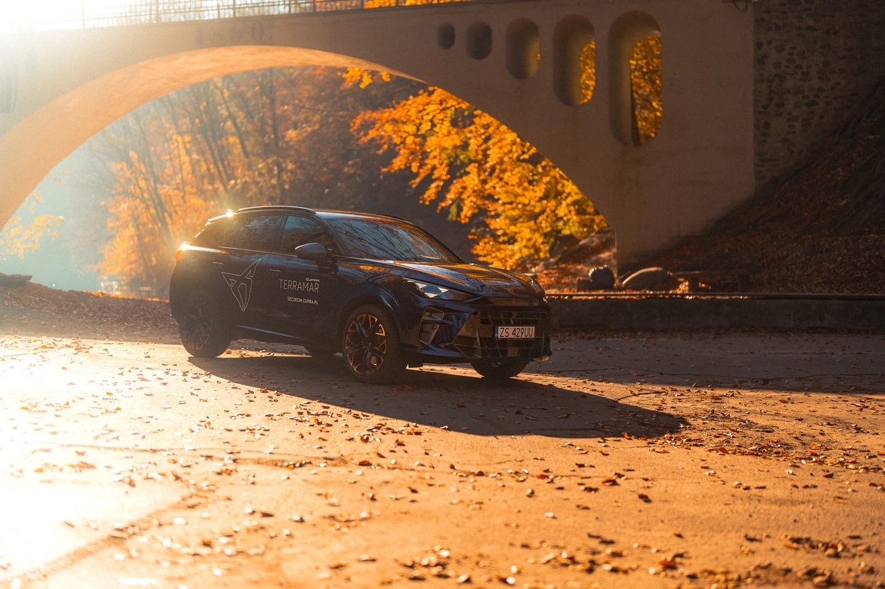 Nowa CUPRA Terramar w jesiennym lesie pod minimalistycznym mostem