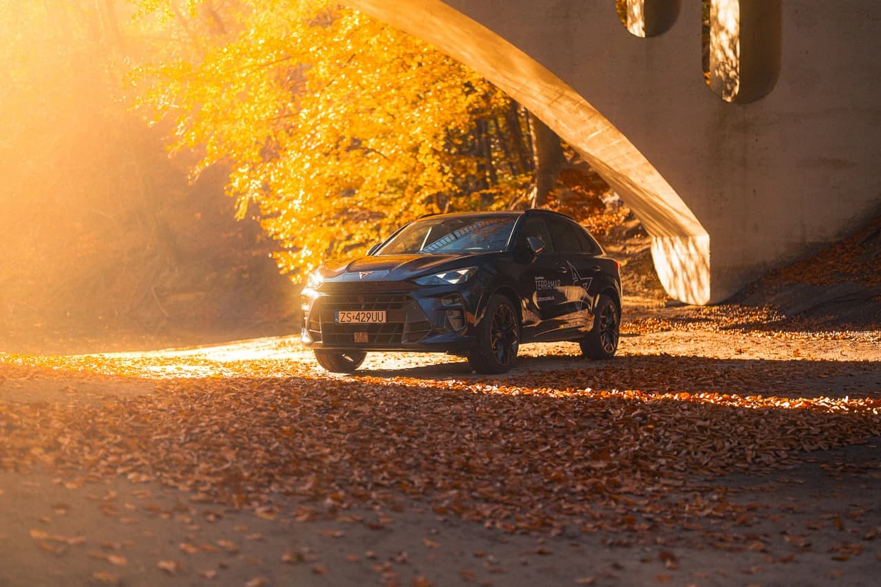 Nowa CUPRA Terramar na tle jesiennego lasu