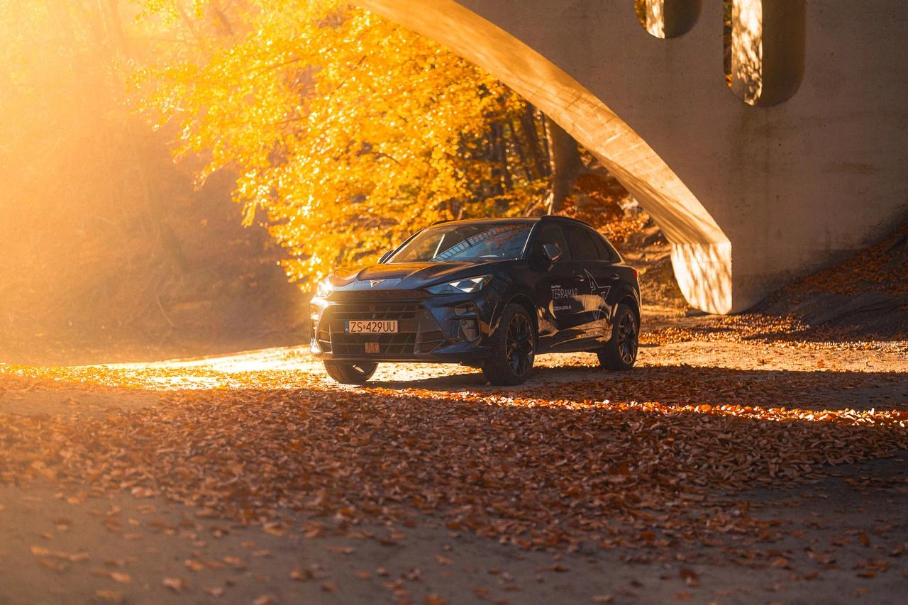 Nowa CUPRA Terramar na tle jesiennego lasu