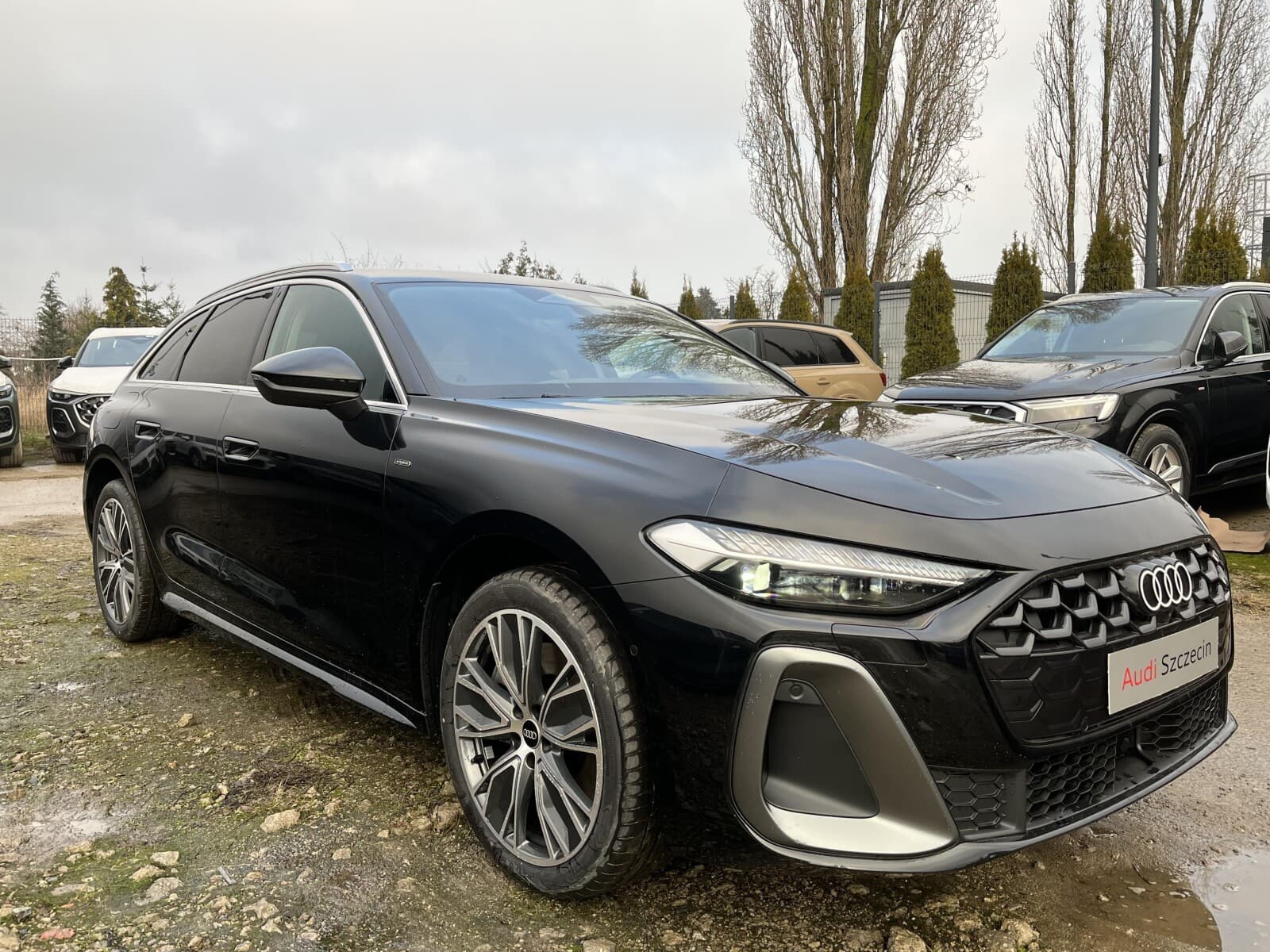 Audi A5 Avant