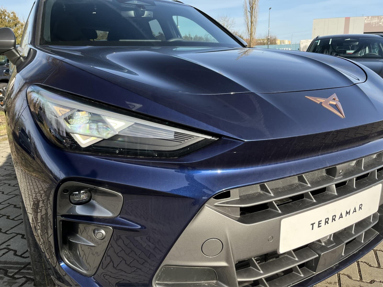 Cupra Terramar