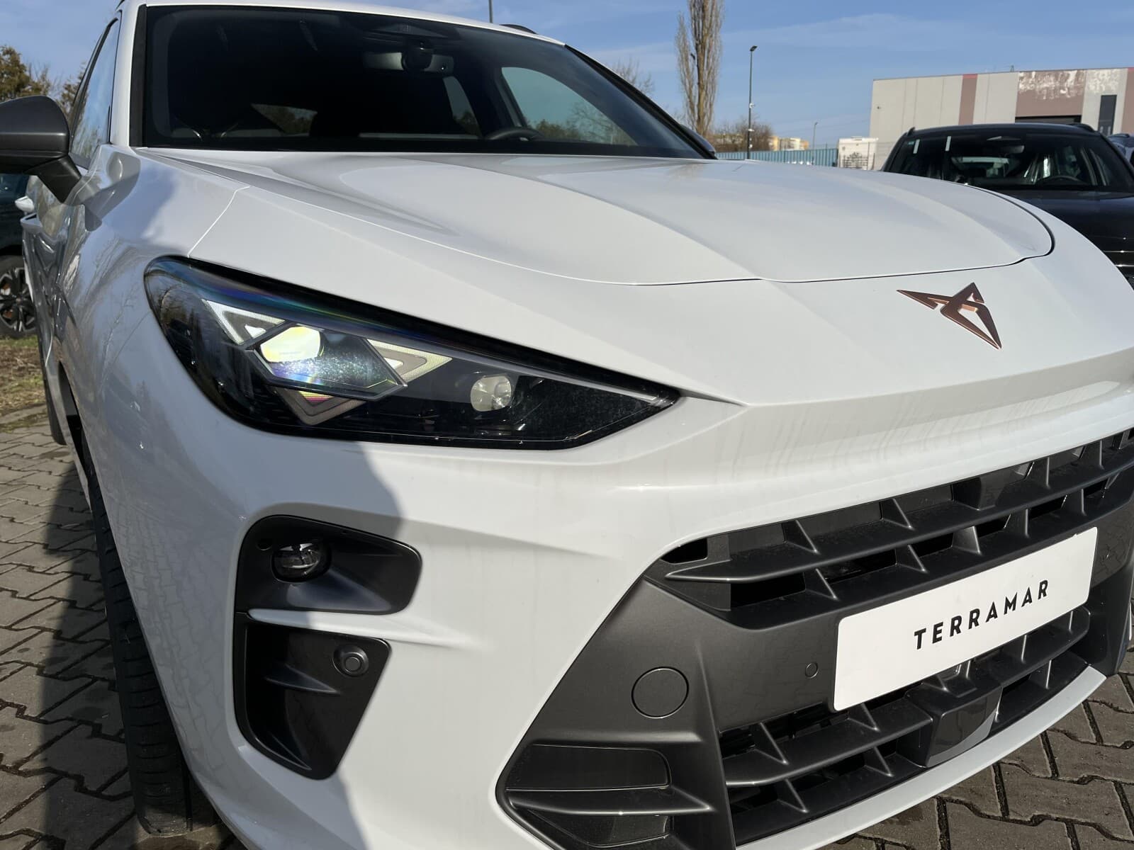 Cupra Terramar