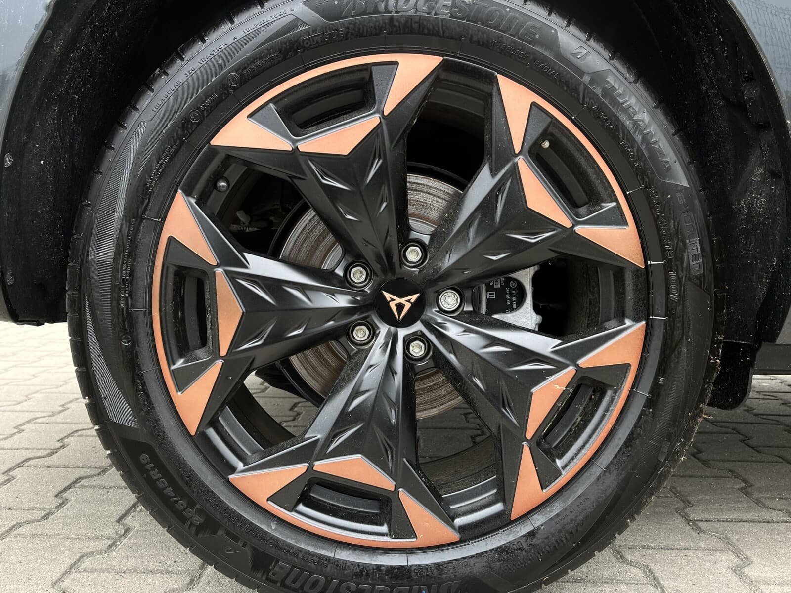 Cupra Terramar